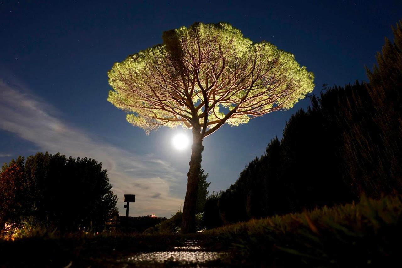 Agriturismo Buon Riposo - Country Resort In The Heart Of Tuscany San Giovanni a Corazzano Exterior photo
