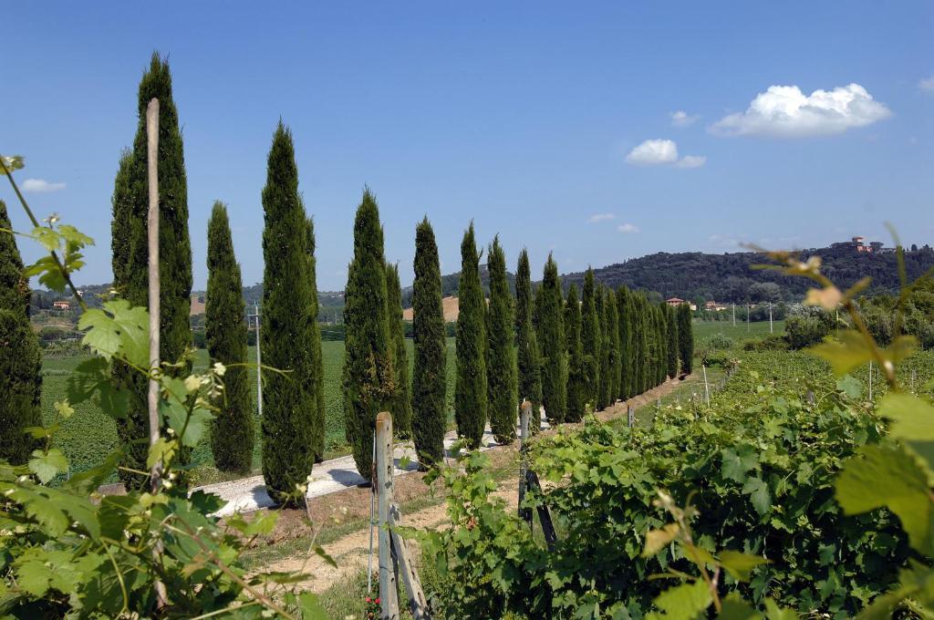 Agriturismo Buon Riposo - Country Resort In The Heart Of Tuscany San Giovanni a Corazzano Exterior photo